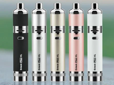 YoCan Coils - YC02 - Evolve Plus XL Quad Coil- 5CT