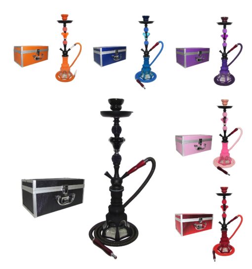 Tanya Hookah Hummer 1 Hose with Traveling Case