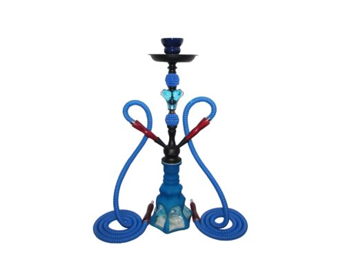 Tanya Hookah Hummer 2 Hose with Traveling Case