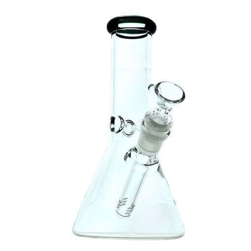 8" Clear Beaker Waterpipe - SQ08